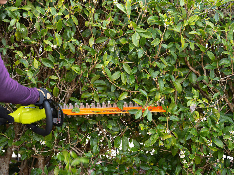 18V ONE+ 22" Lithium-Ion Electric Hedge Trimmer Cordless with 2.0 Ah Battery and Charger