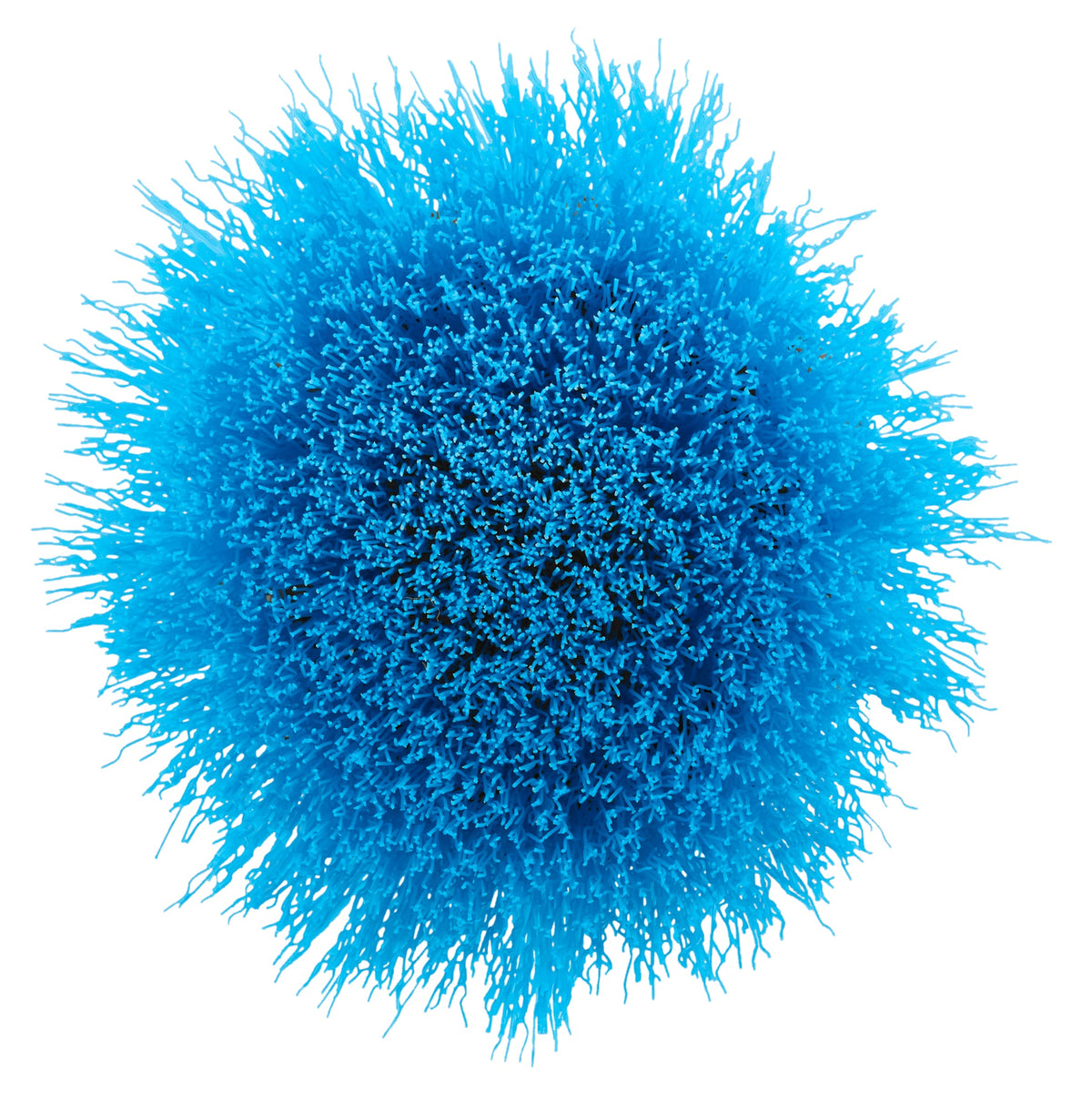 2 PC. Soft Bristle Brush Cleaning Kit
