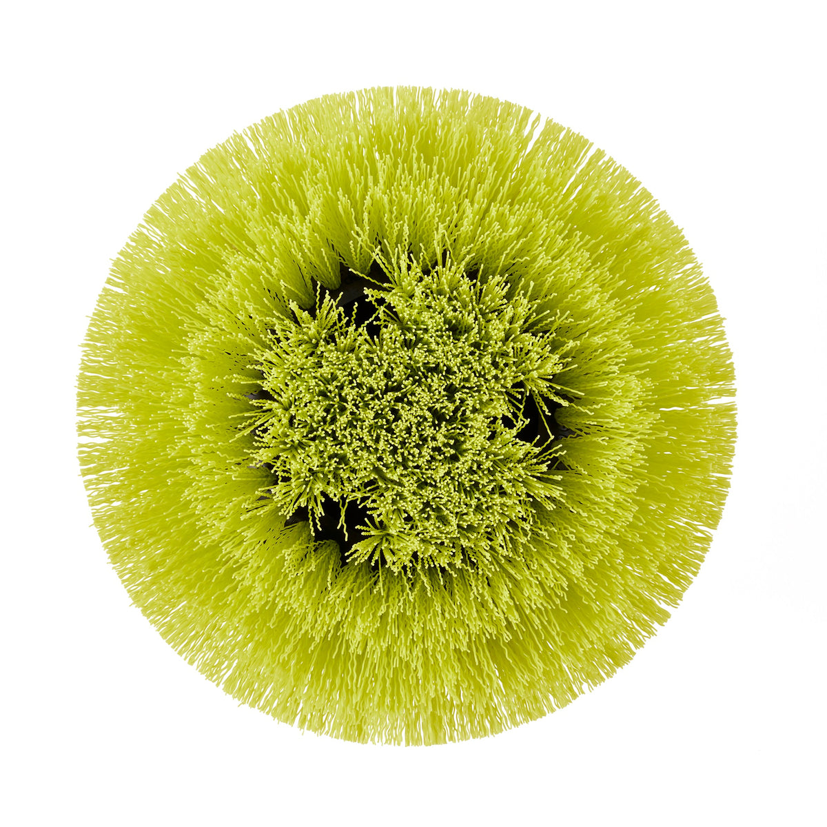 Medium Bristle Round Brush