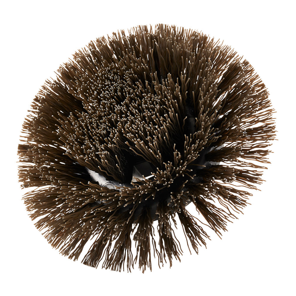 Hard Bristle Round Brush
