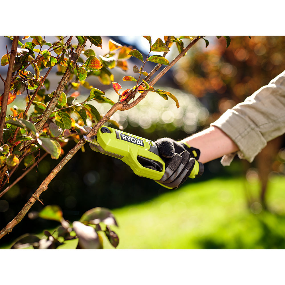 USB Lithium Pruning Shears Kit