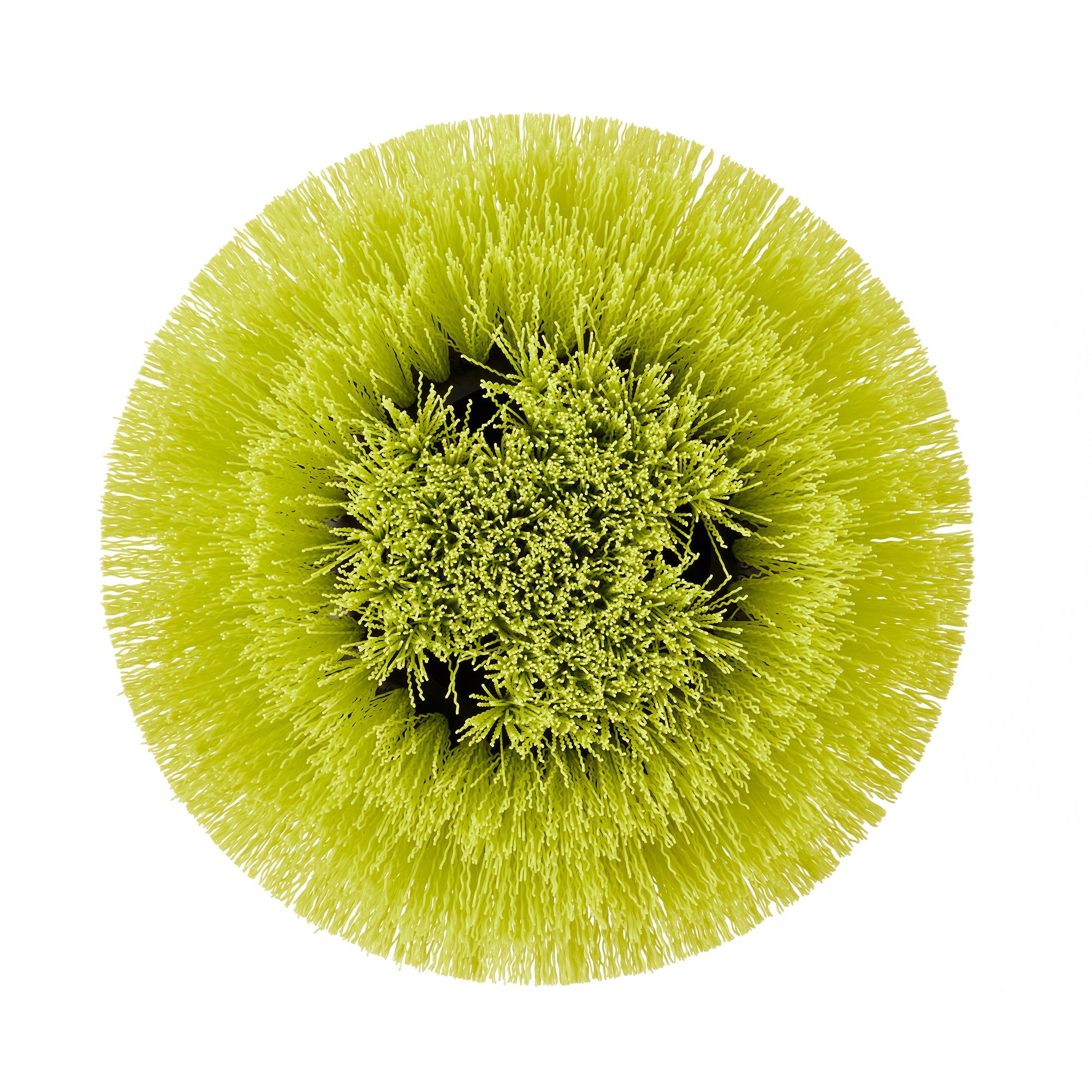 Medium Bristle Round Brush
