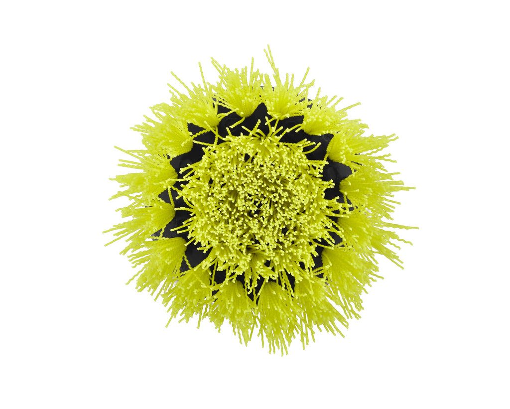 2 PC. Medium Bristle Brush Cleaning Accessory Kit