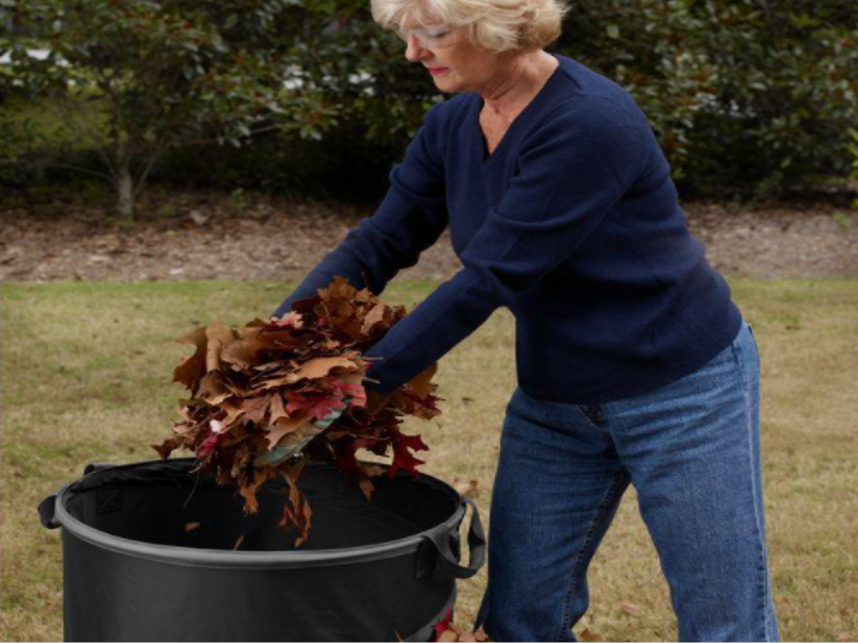 Lawn and Leaf Bag